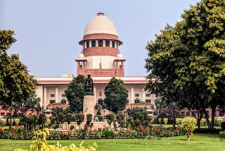 SUPREME COURT ON FREEBIES CULTURE