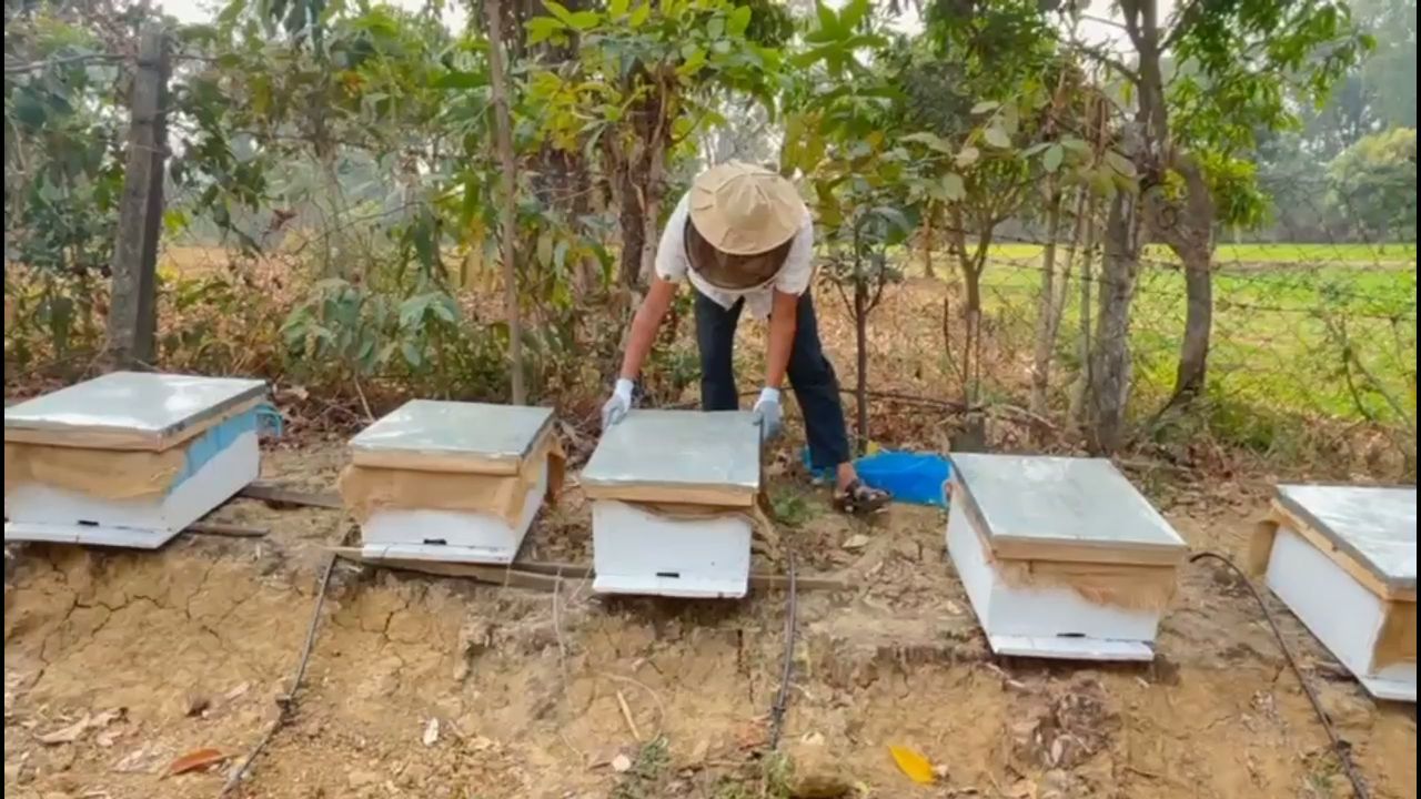 Farmers took training in beekeeping