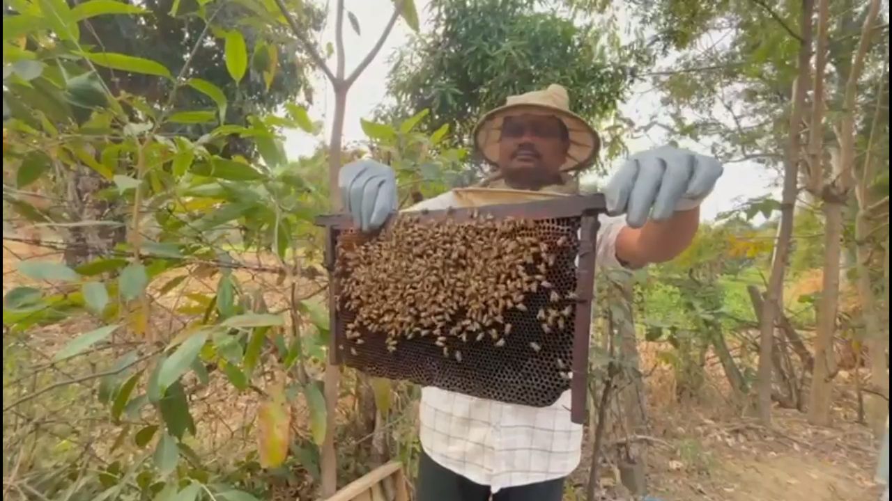 Farmers took training in beekeeping