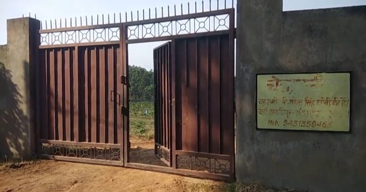 Dhoni organic farming