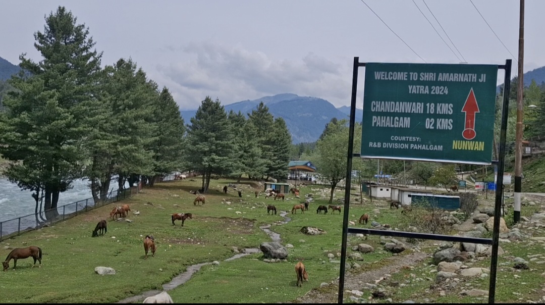 PDA declares key tourist spots and river banks polythene free Urdu News