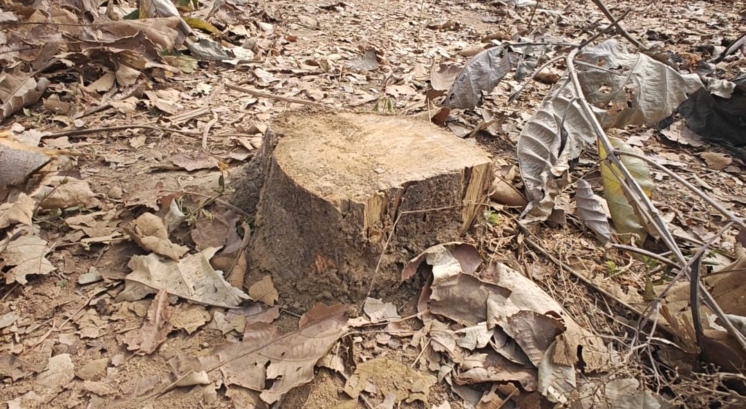 Shahdol Attack on Forest Department