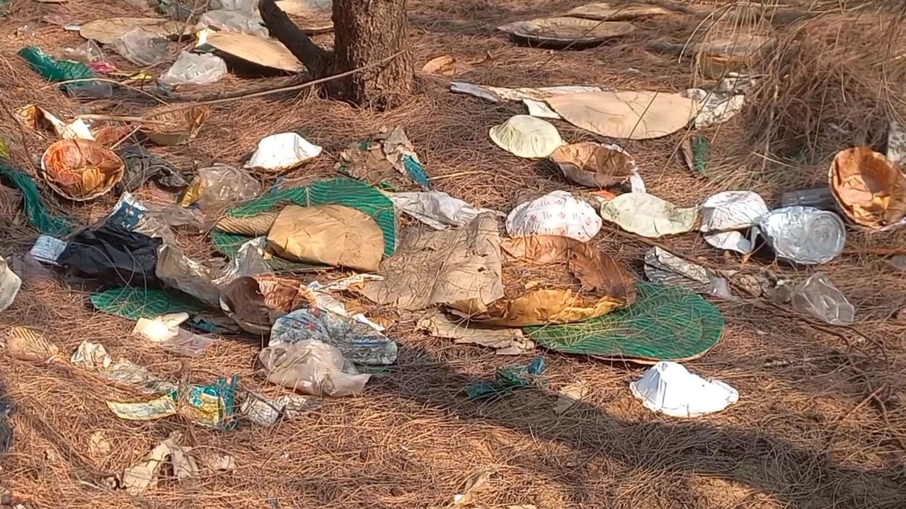 ପୁରୀରୁ କୋଣାର୍କ ବେଳାଭୂମିକୁ ସ୍ୱଚ୍ଛ ସବୁଜ ସୁନ୍ଦର କରିବା ପାଇଁ ବନ ବିଭାଗ ଓ ପର୍ଯ୍ୟଟନ ବିଭାଗ ପକ୍ଷରୁ ମିଳିତ ଭାବେ ଯୋଜନା କରାଯାଇଛି ।