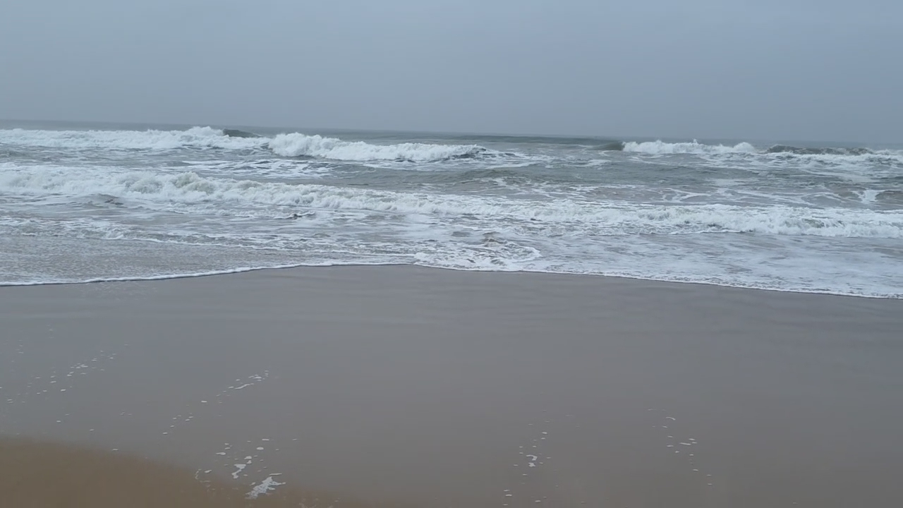 ପୁରୀ ସହରରୁ ବାର୍ଷିକ ୭୨୦ ଟନ୍ ପ୍ଲାଷ୍ଟିକ ବର୍ଜ୍ୟବସ୍ତୁ ବାହାରୁଛି ।