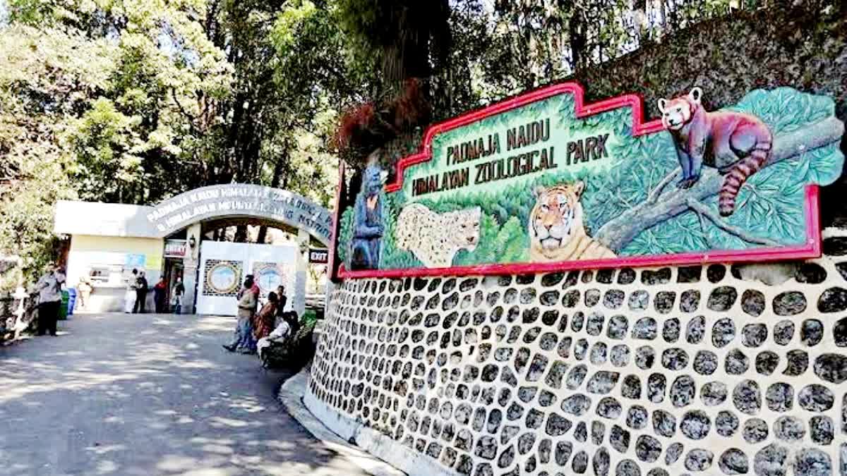 Padmaja Naidu Himalayan Zoological Park
