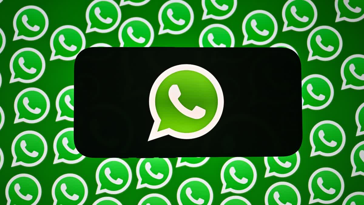 WhatsApp Introduces You Profile Tab on iPhone, Replacing Settings Menu