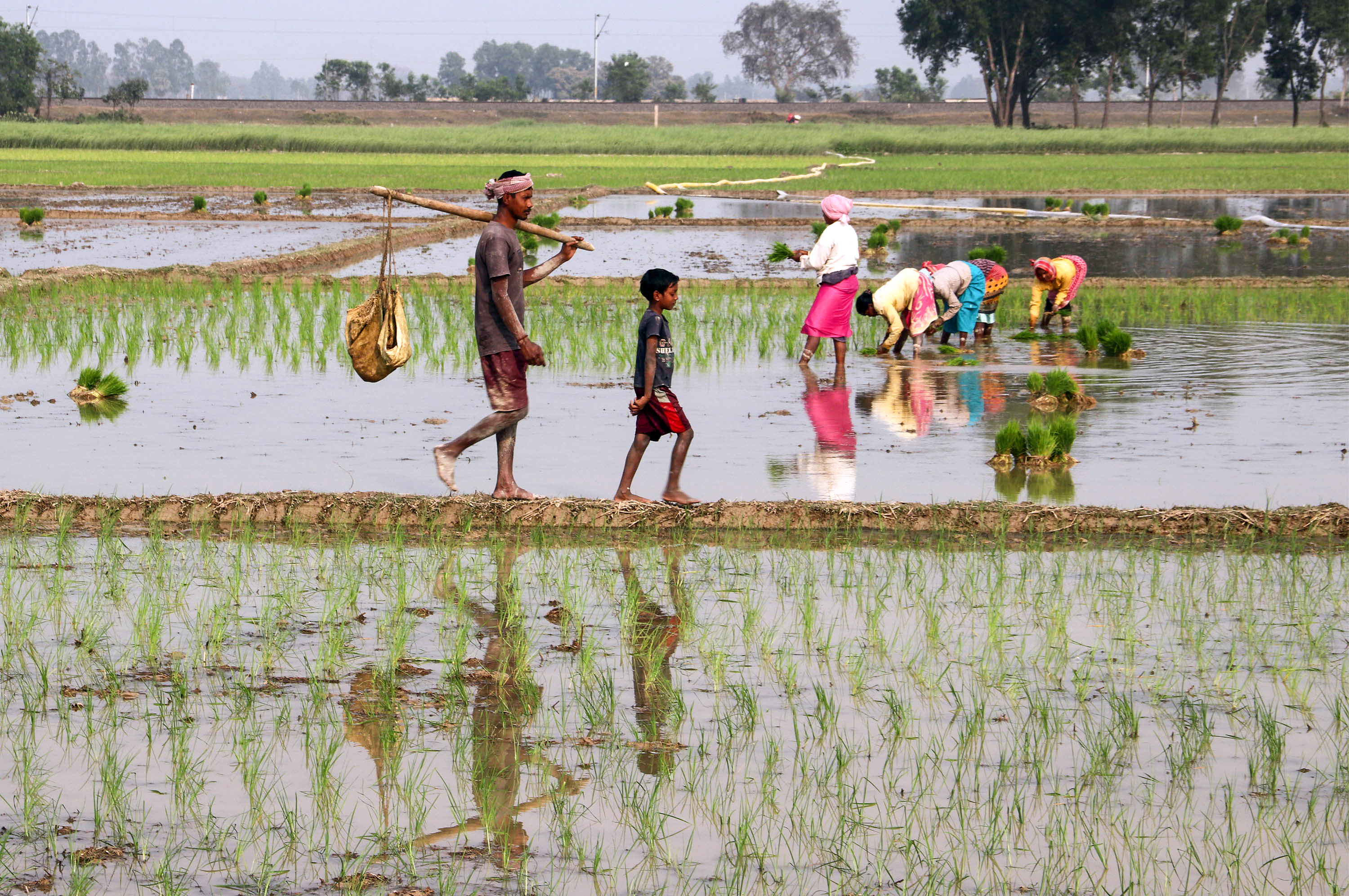 Climate change Heat Waves Super El Nino Indian Farmers Need to Be Ready for Summer 2026