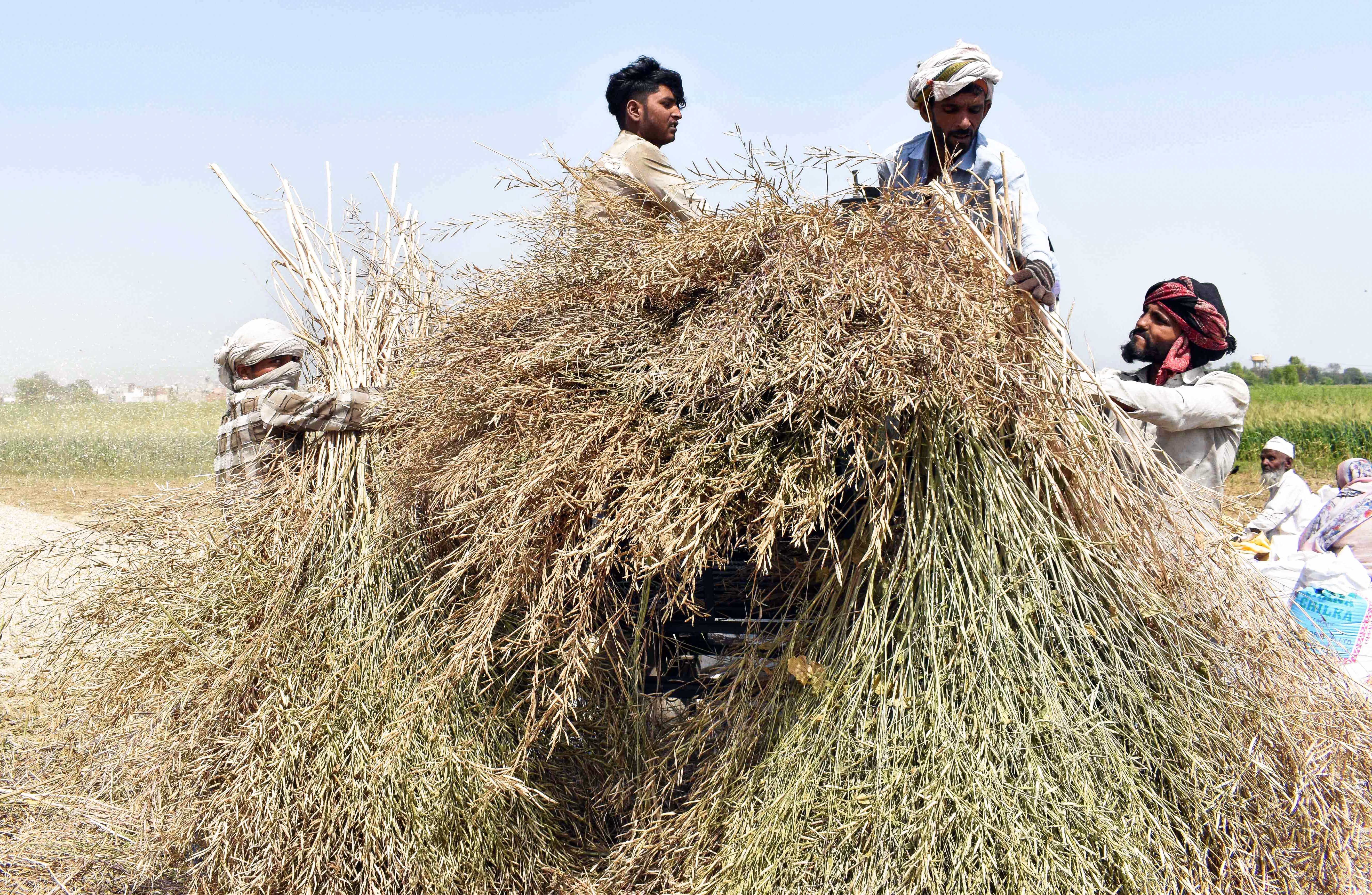Climate change Heat Waves Super El Nino Indian Farmers Need to Be Ready for Summer 2026