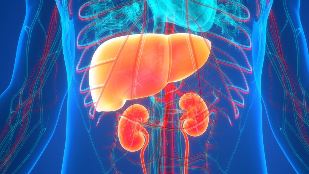 WORLD LIVER DAY 2025