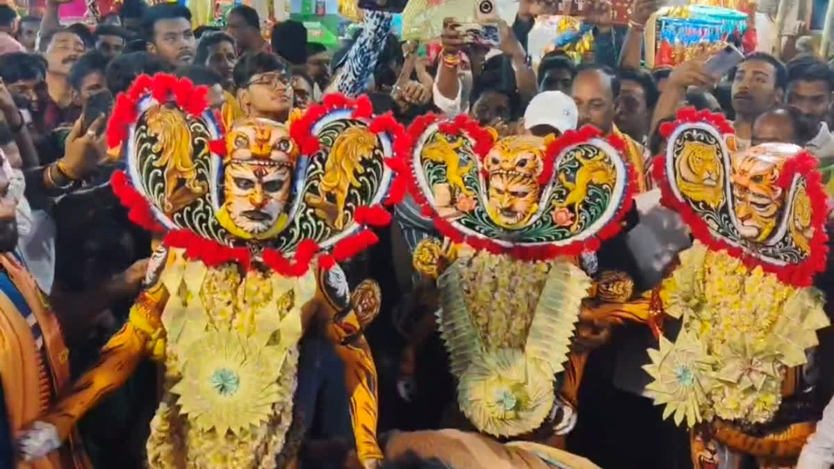 Dance Of The Divine: The Enduring Ritual Of Ganjam’s Bagha Nacha At Maa Budhi Thakurani Yatra In Odisha Dance Of The Divine: The Enduring Ritual of Odisha’s Bagha Nacha At Maa Budhi Thakurani Yatra