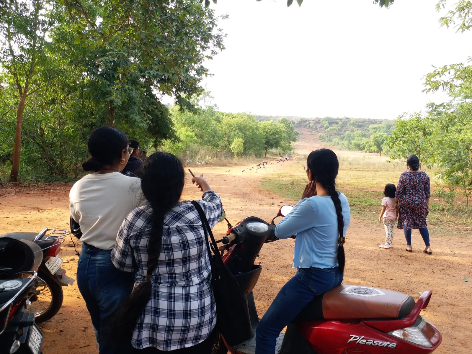 peacock valley of Odisha