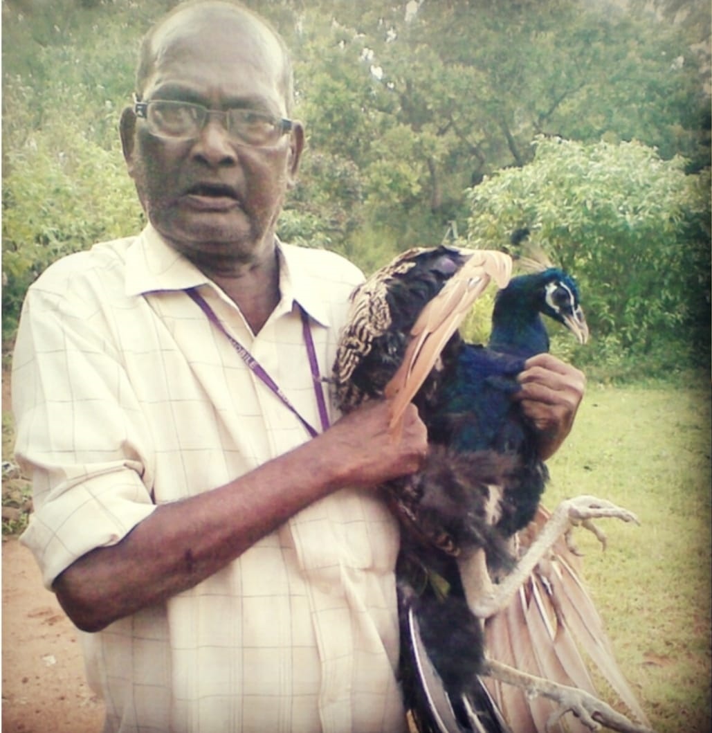 peacock valley of Odisha