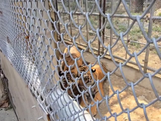 ETV Thumbnail thumbnail