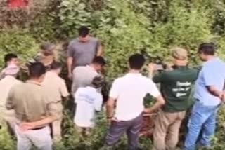 वन विभाग की टीम ने तेंदुए के शव को कब्जे में लिया.