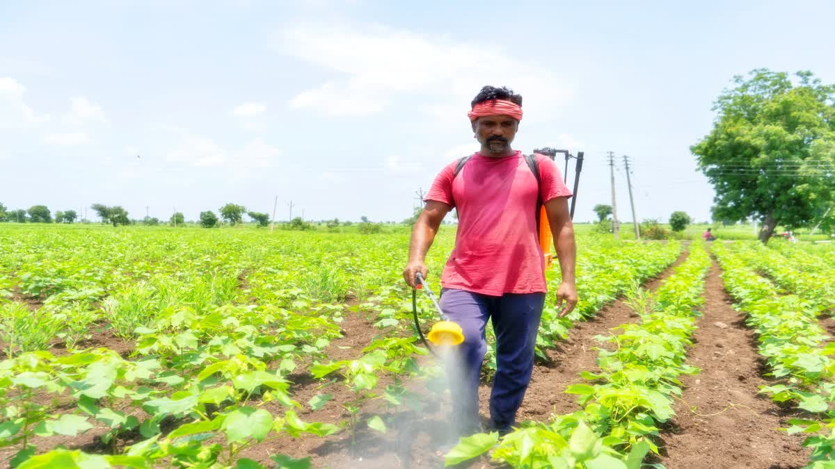 పురుగు మందులపై వివిధ రంగుల గుర్తులు - అవి ఏం సూచిస్తాయంటే!