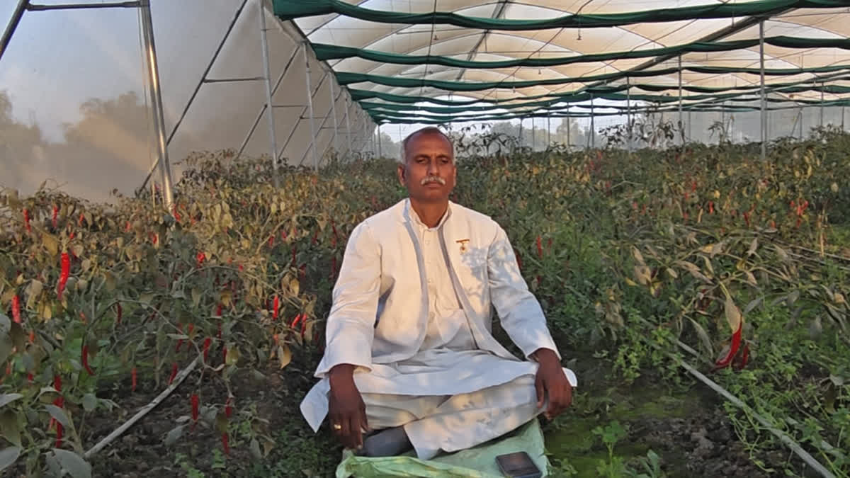 Harvesting Harmony: Meditation’s Touch on Organic Growth