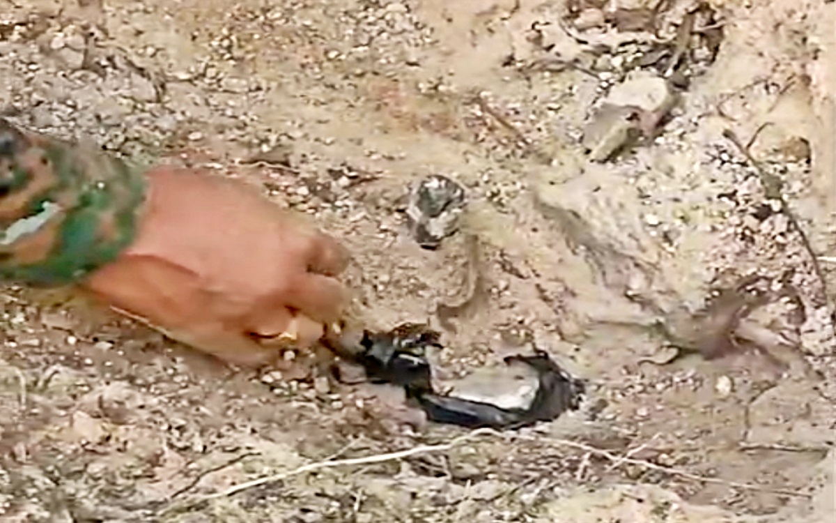 PRESSURE IED IN GAYA