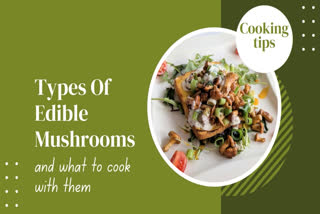 Mushrooms