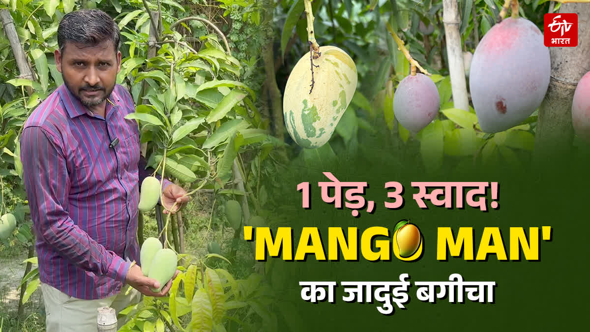 Bihar MANGO MAN