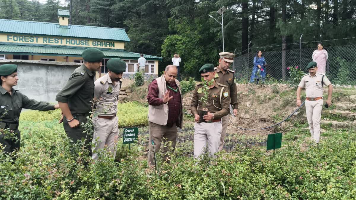 Encroachments in Himachal forests