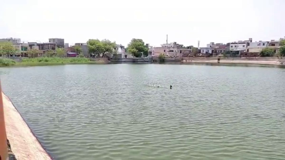Aamti Lake Hansi