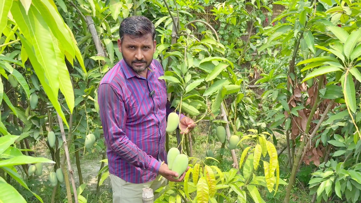 bihar MANGO MAN