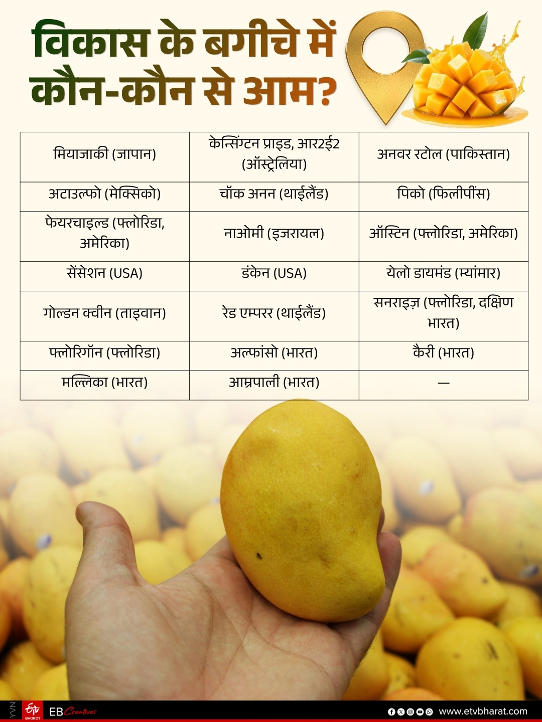 Bihar MANGO MAN