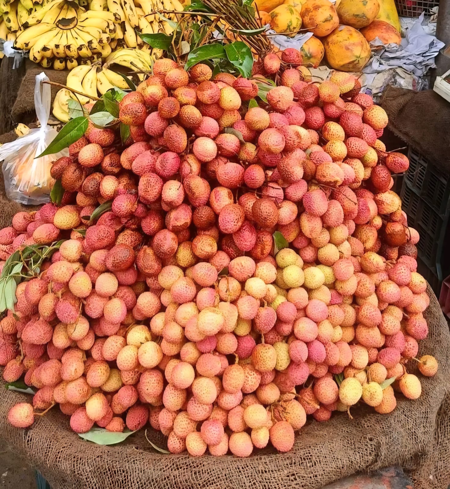 Lychee export to Italy