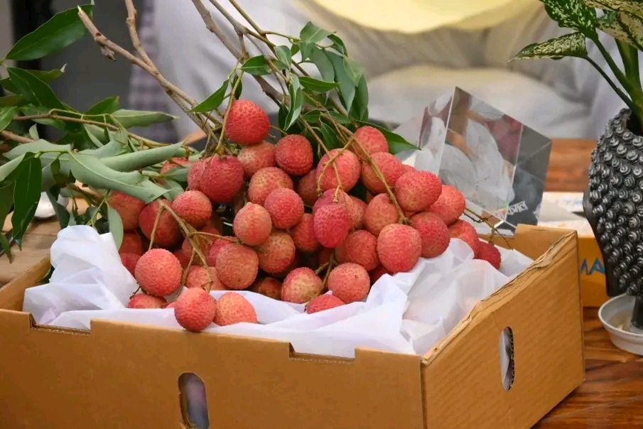 Lychee export to Italy