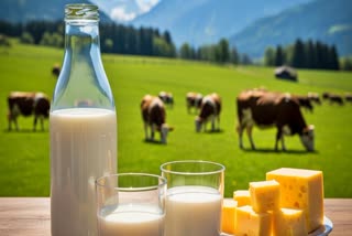 NON VEG MILK