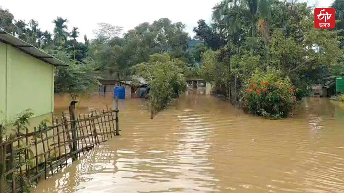 Flood in Sonari