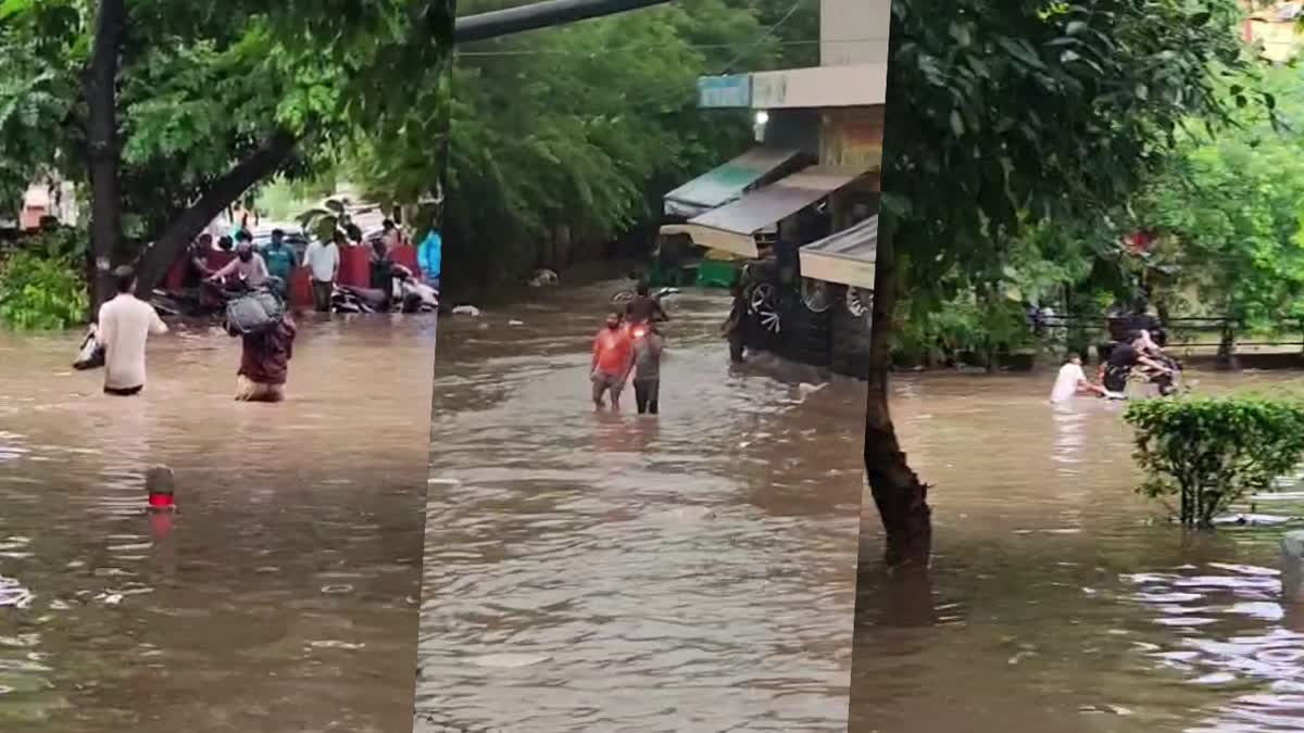 Heavy rain in Chandigarh Waterlogging