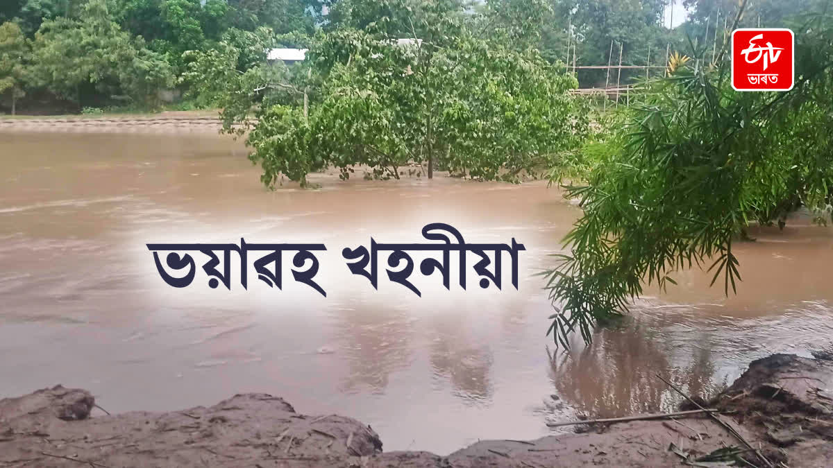 Massive erosion of Nishari river in Kampur Nagaon