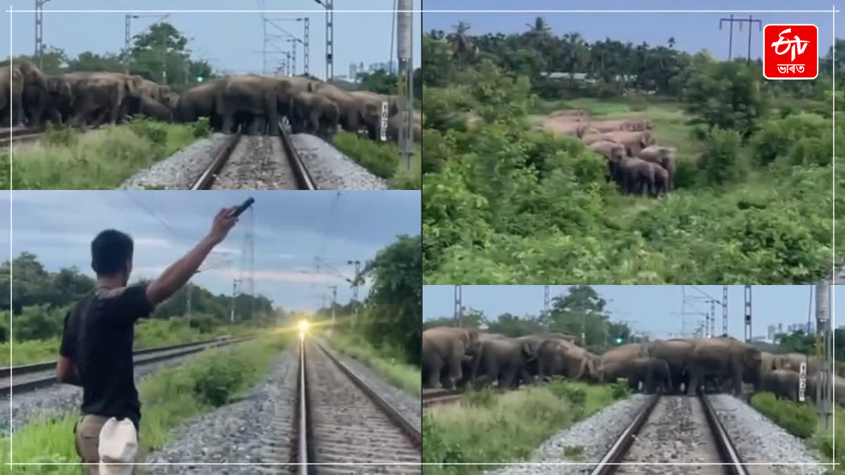 Rajdhani Express halted in Hojai
