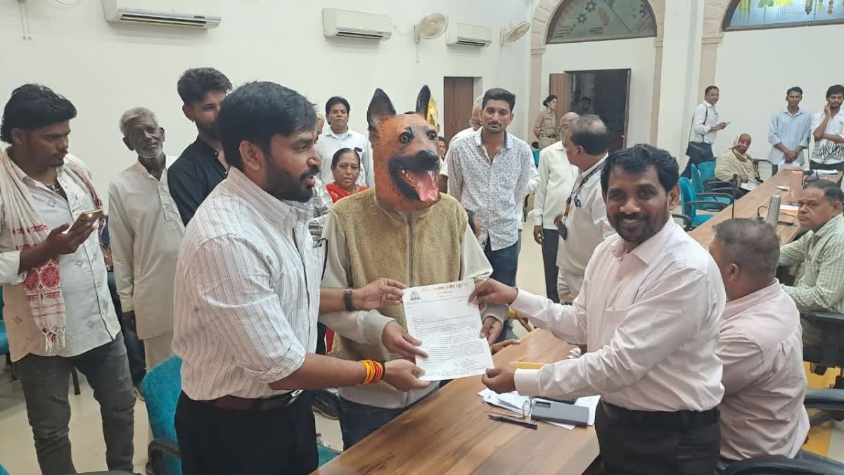 young man wearing a dog mask appeared at collector's office during public hearing