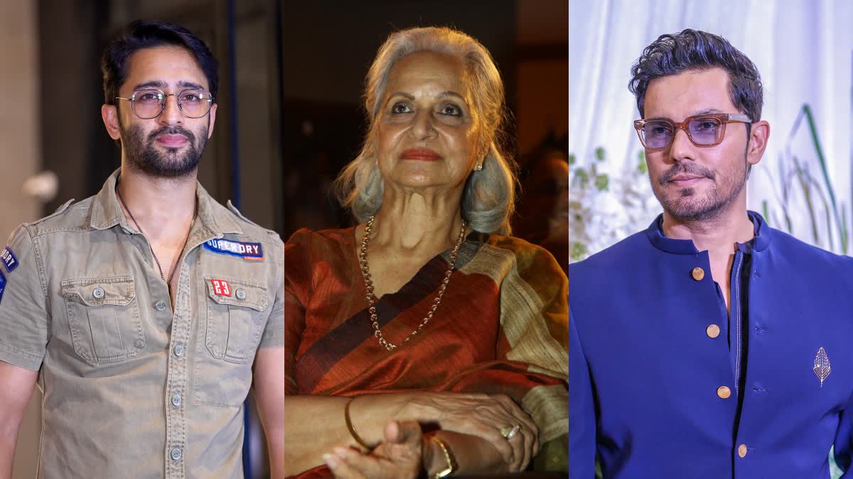 World Photography Day 2026: Along with acting, Randeep Hooda shaheer sheikh and these stars skilled in photography