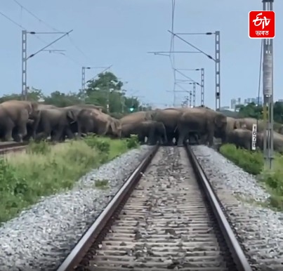 Rajdhani Express halted in Hojai