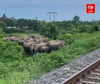 Rajdhani Express halted in Hojai