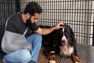 Jr NTR Mourns Loss Of Pet Dog Bagheera After Four Years Of Companionship