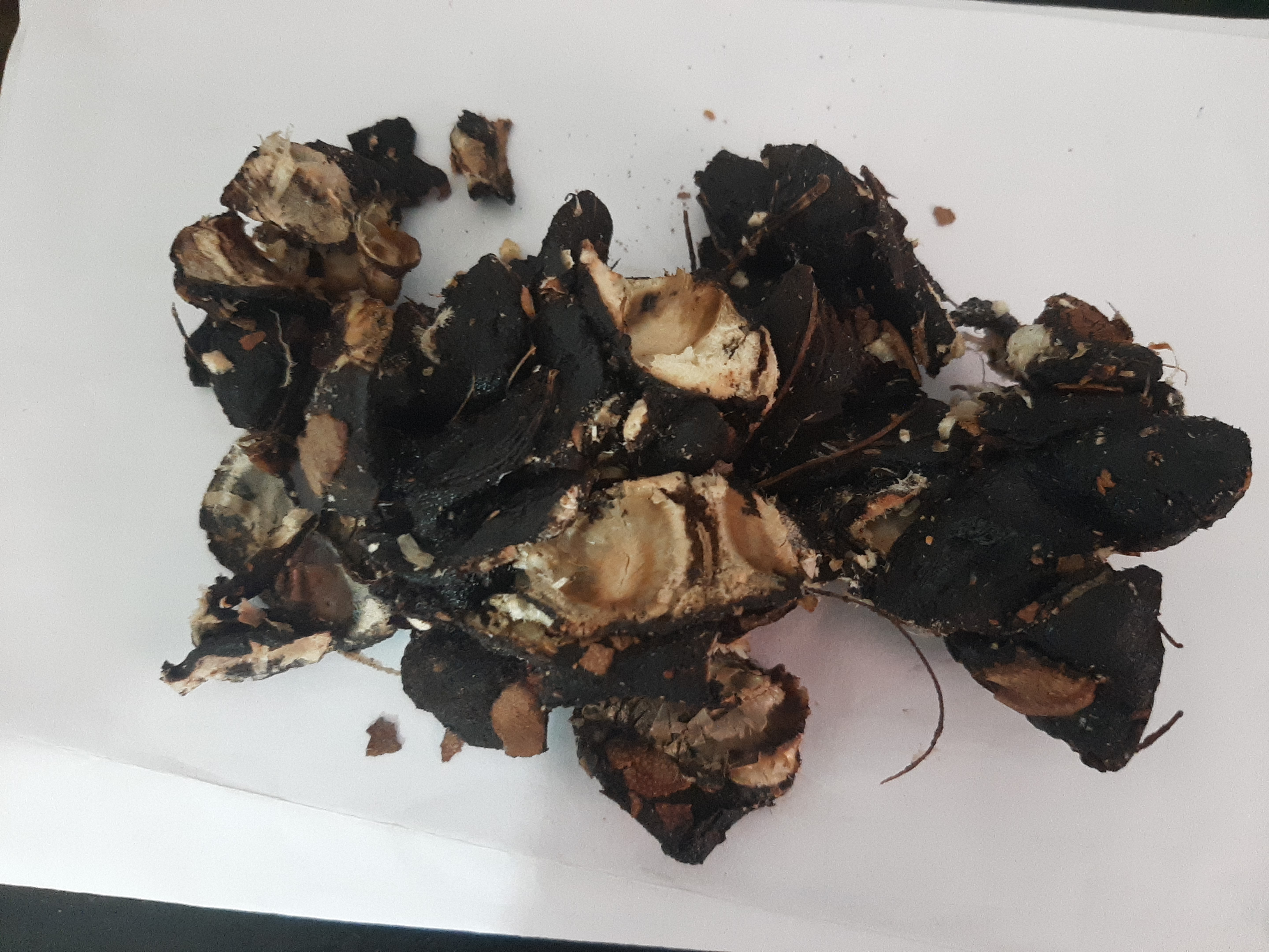 આમલી વગર ગૃહિણીઓના રસોડાઓની રોનક અધુરી