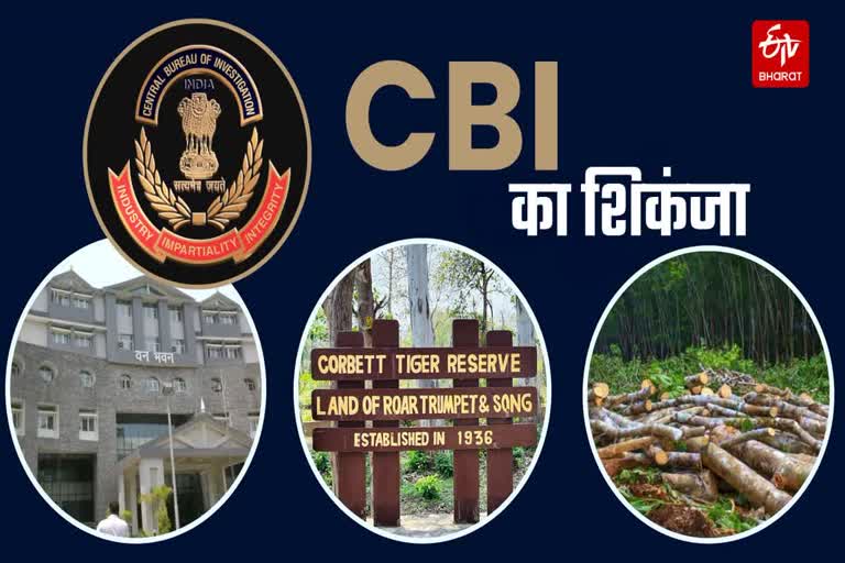पाखरो टाइगर सफारी घोटाले में CBI ने IFS अफसरों से शुरू की पूछताछ, वन ...