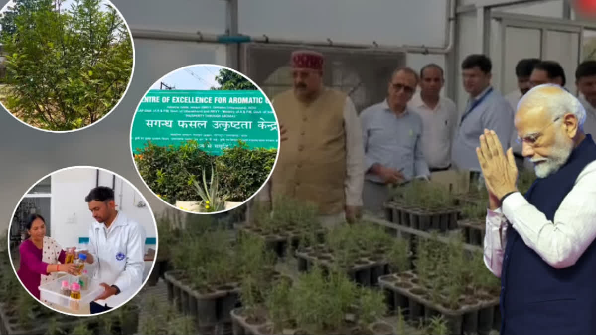 Uttarakhand: Perfume Named After PM Modi To Be Out In Markets Soon Who does not like a scented perfume? However, have you ever heard of a perfume launched in the name of your country's Prime Minister?