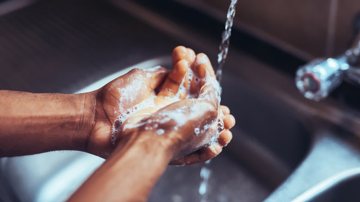 Celebrate Safe: Doctors Say Hygiene, Mindful Eating, And Vigilance Are ...