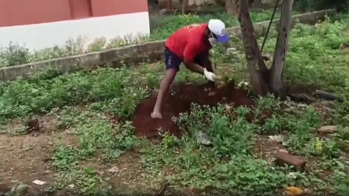 இறந்து கிடக்கும் நாய்களை தேடி செல்லும் அரசு ஊழியர்; குவியும் பாராட்டு!
