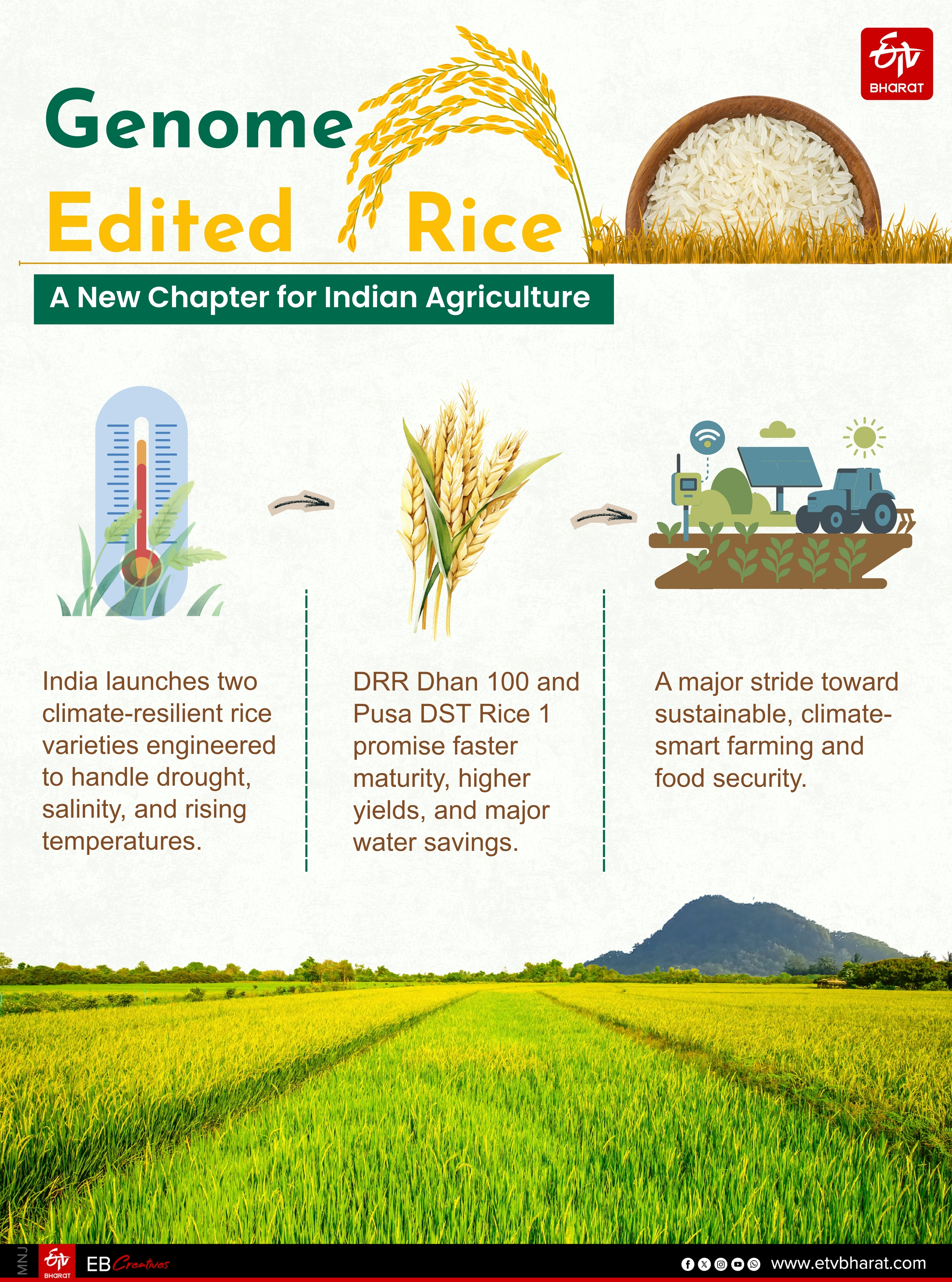 A New Era For Indian Rice: Climate-Resilient & Genome-Edited