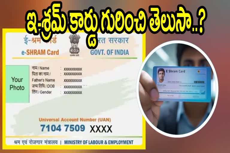 ఇ-శ్రమ్ కార్డు - ఫ్రీగా రూ. 2 లక్షల బీమాతో మరెన్నో ప్రయోజనాలు - ఇప్పుడే ...