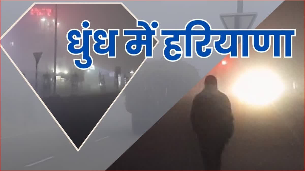 हरियाणा में सर्दी और कोहरे का डबल अटैक, इन जिलों में अलर्ट जारी, विजिबिलिटी जीरो होने से ट्रैफिक प्रभावित Haryana Weather report