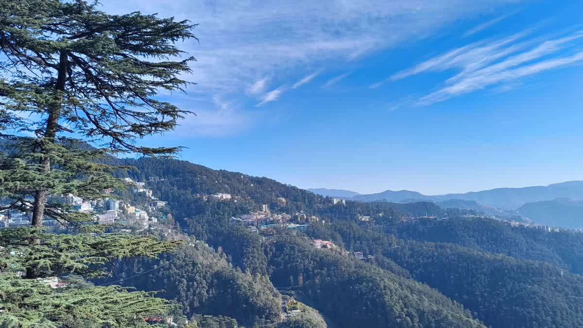 Himachal Weather Update