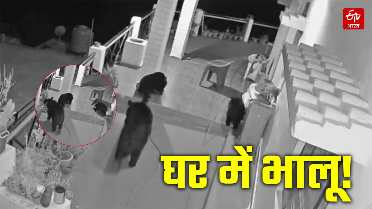 BEAR TERROR UTTARKASHI