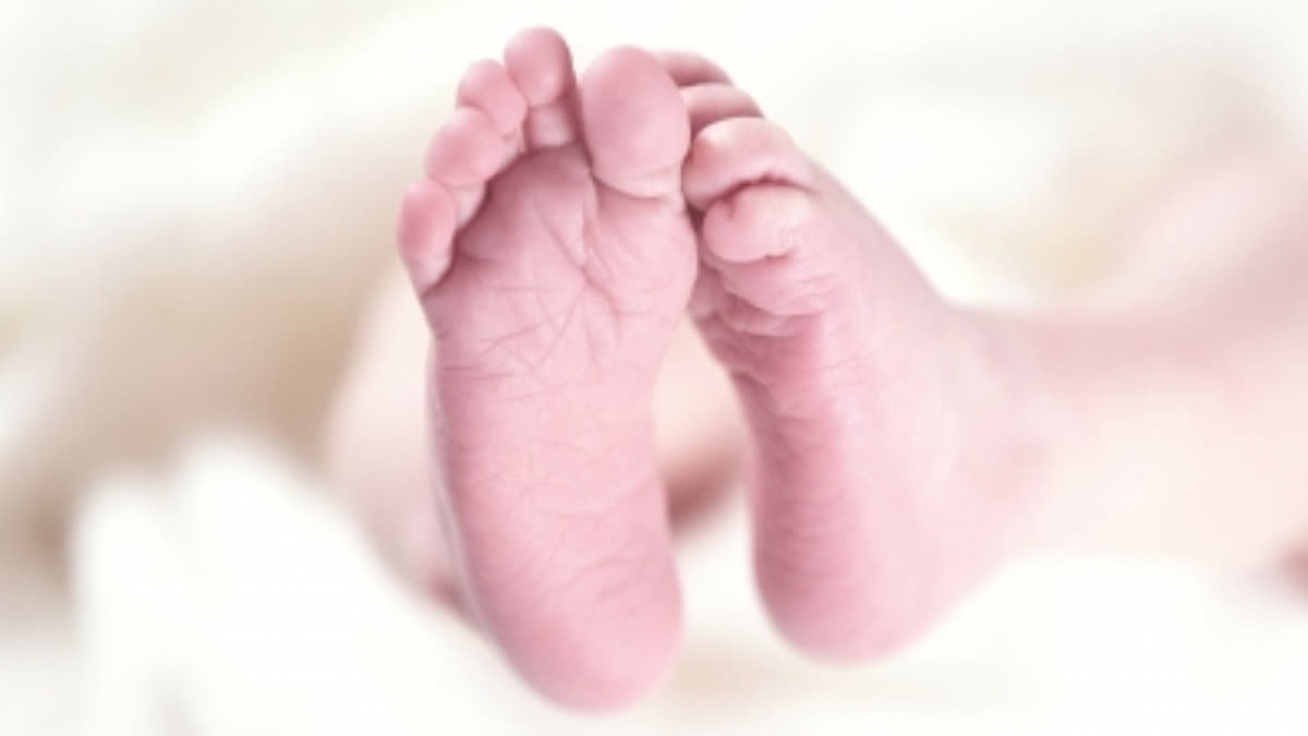 Andhra Pradesh Police Bust Inter-State Child Trafficking Racket; Five Infants Rescued, 10 Arrested Andhra Pradesh Police Bust Inter-State Child Trafficking Racket; Five Infants Rescued, 10 Arrested